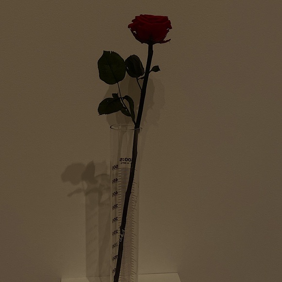 Meet your Posher, Nichole - Picture 1 of 1